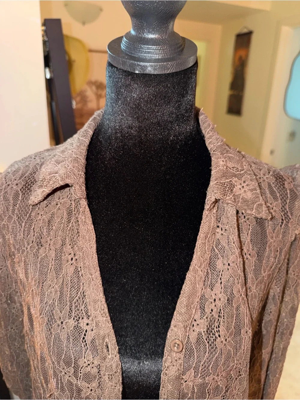 Amber Sceats Brown Sheer Lace Button-Up Shirt | Vintage Romantic Layer